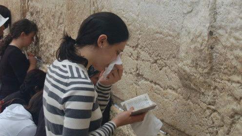 娱乐吃瓜君励志,从吃瓜达人到励志偶像的蜕变之路